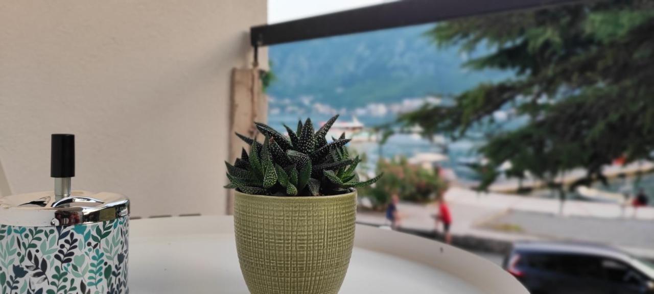 Ferienwohnung Apartman Lubarda Kotor Exterior foto